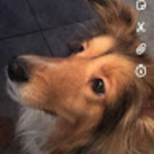 Meet your Posher, Molly